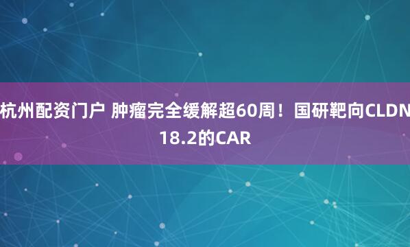 杭州配资门户 肿瘤完全缓解超60周！国研靶向CLDN18.2的CAR