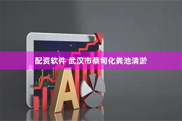 配资软件 武汉市蔡甸化粪池清淤